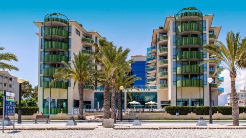 Kaktus Albir – fotografie 3