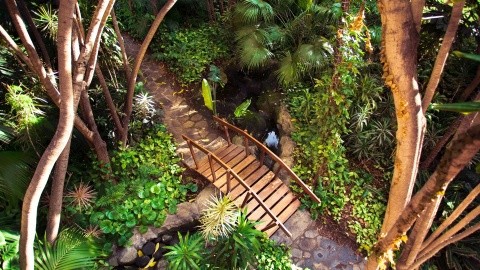 Botánico & The Oriental Spa Garden – fotografie 4