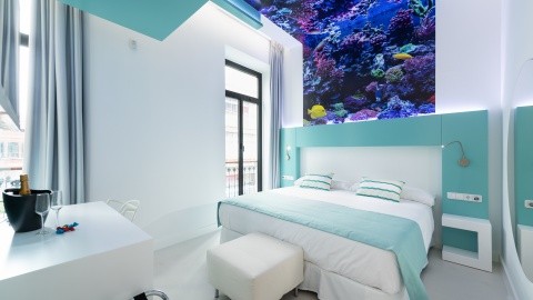 HD Acuario Lifestyle – fotografie 2