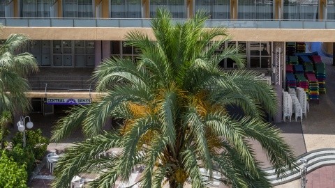 Medplaya Calypso – fotografie 5