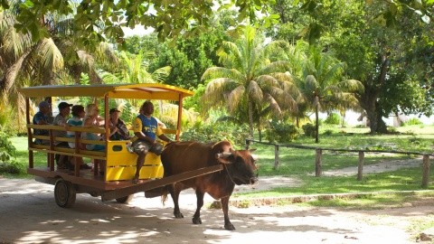 La Digue Island Lodge – fotografie 3