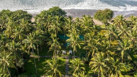 Kelapa Retreat (Pekutatan) – fotografie 4