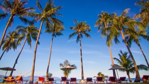 Coco Palm Beach – fotografie 2