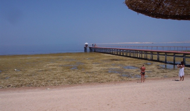 Sharm Grand Plaza opinie