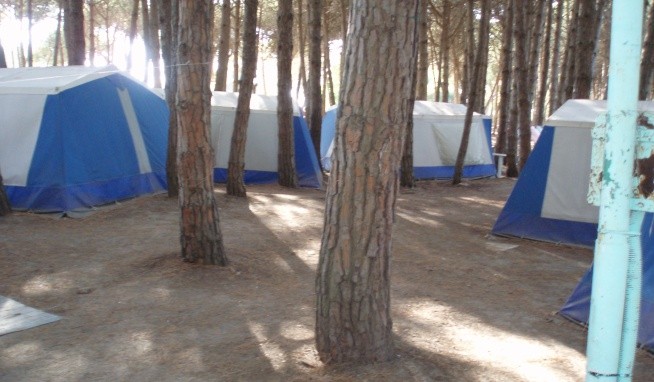 Camping Villaggio Nettuno (Capaccio Scalo) értékelés