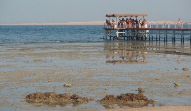 Sharm Grand Plaza recenzie