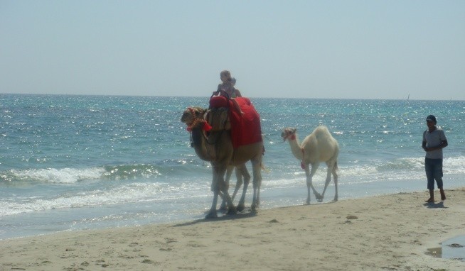 Djerba Azurea recenzie