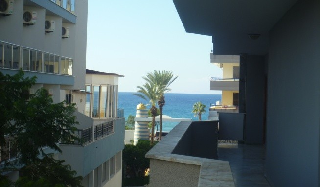 Dolphin Suite recenzie