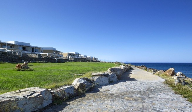 The Royal Blue recenzie