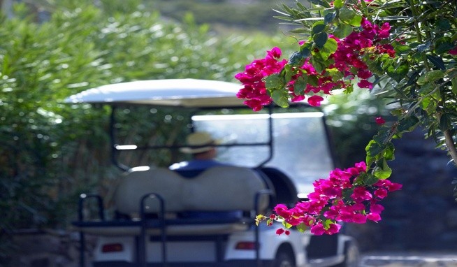 The Royal Blue recenze