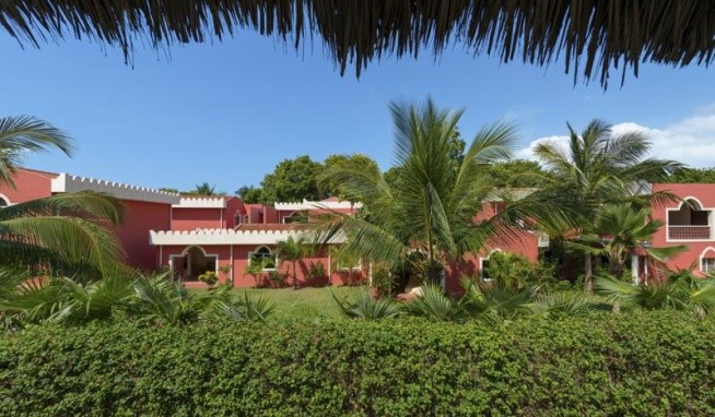 Diamonds Dream of Africa recenze