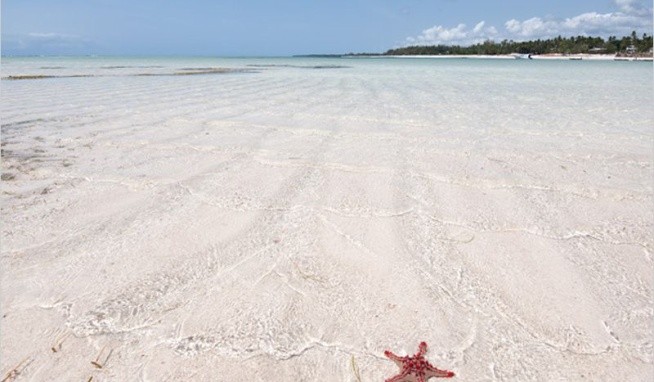 Neptune Village Beach Resort & Spa recenzie