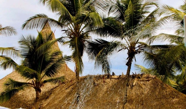 Le Flamboyant recenzie