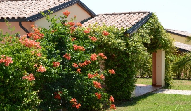 Le Corti di Montepitti opinie