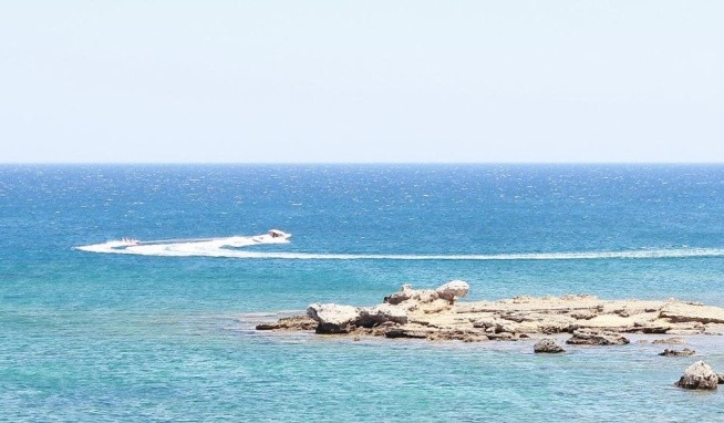 Amira (ex. Princess Flora) opinie