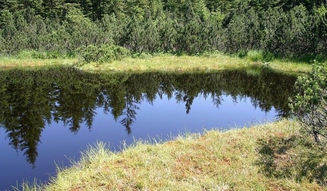 Familienhotel Waldesruh (Göstling) recenzie