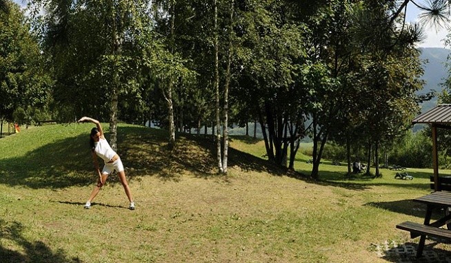 Aparthotel Des Alpes recenze