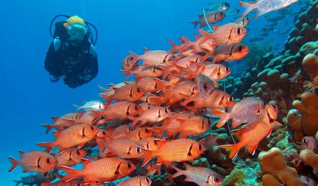 Karafuu Beach Resort & Spa opinie