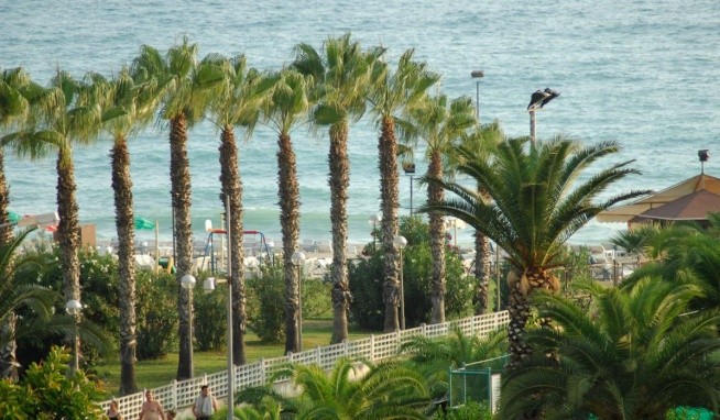 Aska Kleopatra Beste recenze