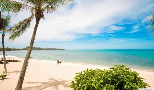 Pavilion Samui Boutique Resort értékelés
