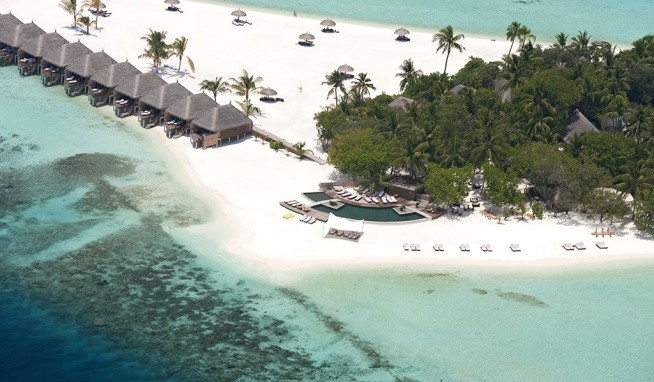 Constance Moofushi opinie