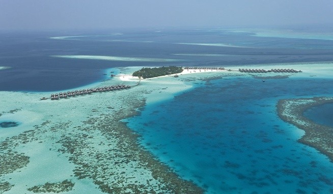 Constance Moofushi értékelés