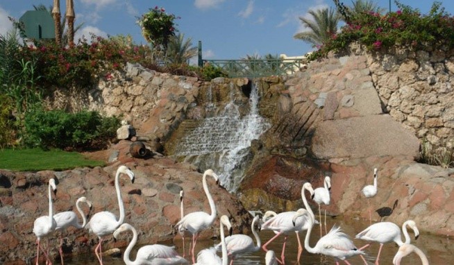 Hauza Beach Resort értékelés