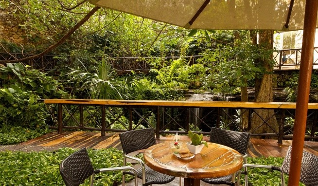 The Reef Playacar Resort & Spa opinie