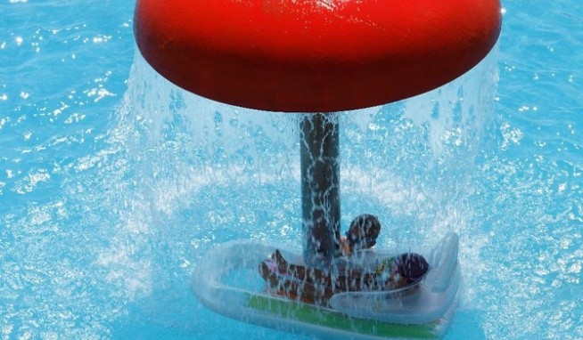 Dolphin Marina recenze