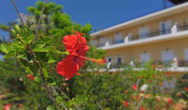 Vantaris Garden opinie