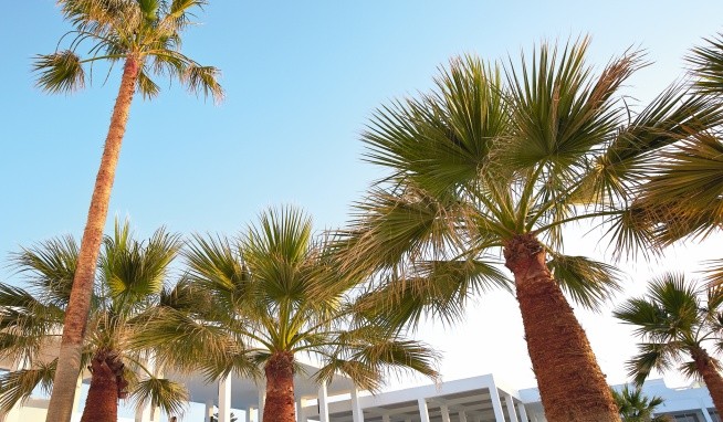 Grecotel LUX ME White Palace recenze