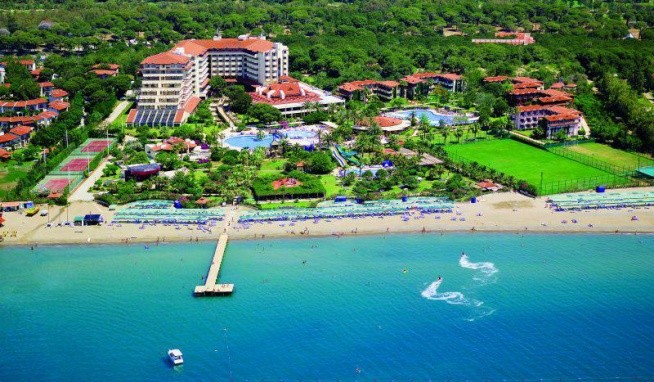 Bellis Deluxe recenze