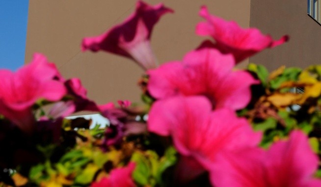 Stella Katrin recenze