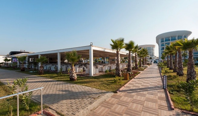 Sultan of Dreams opinie