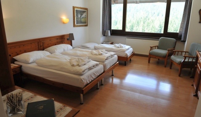 Al Gallo Forcello opinie