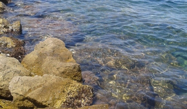 Domina Coral Bay opinie