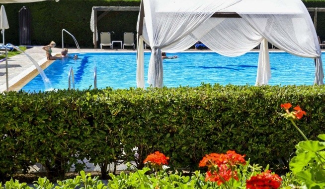 Amaryllis értékelés