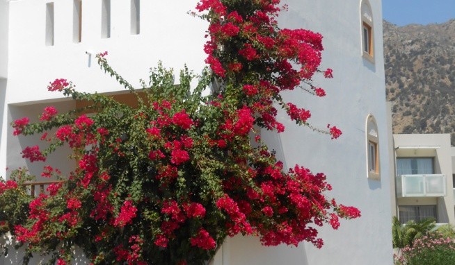 Akti Beach Club recenzie