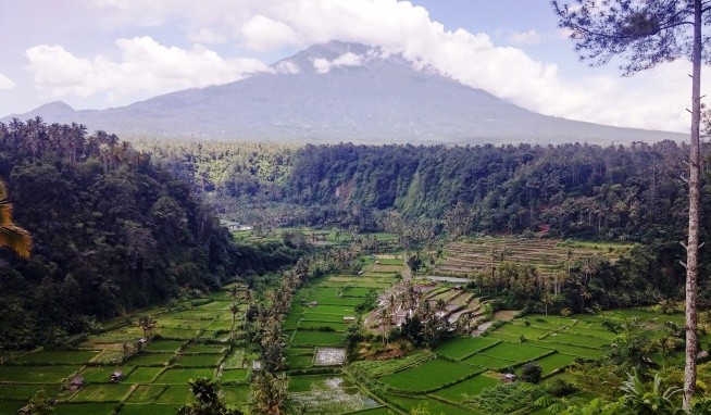 Bali Rani értékelés