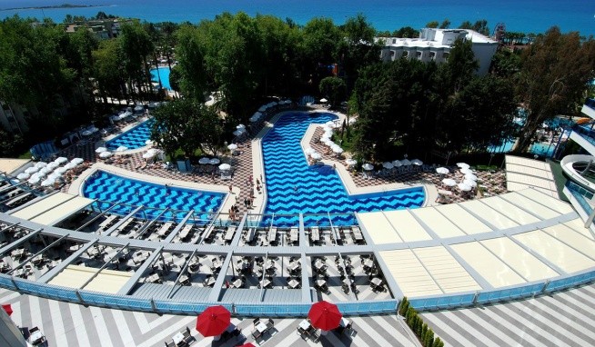 Delphin Botanik Platinum opinie