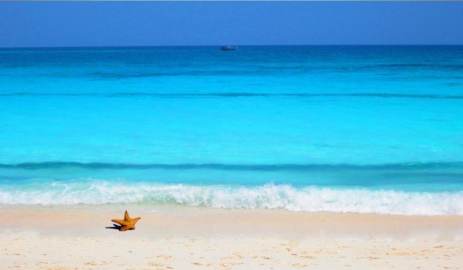 Palumbo Kendwa recenze