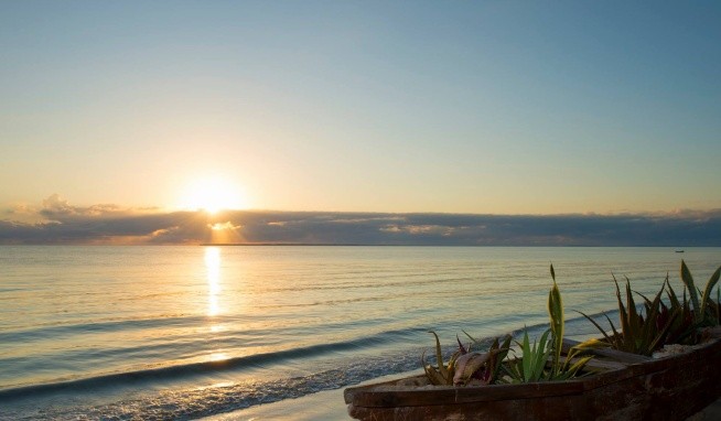 Jaz Adonia Beach Resort (ex. Uroa Bay Beach Resort) opinie