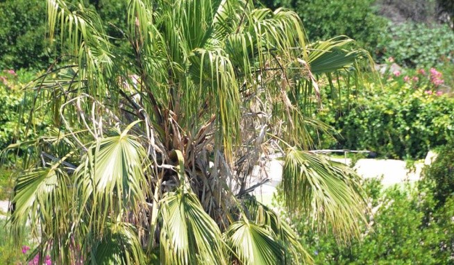 Archipelagos recenzie