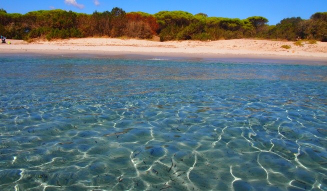 Club Cala Ginepro opinie