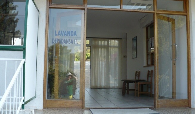Lavanada Paw recenzie