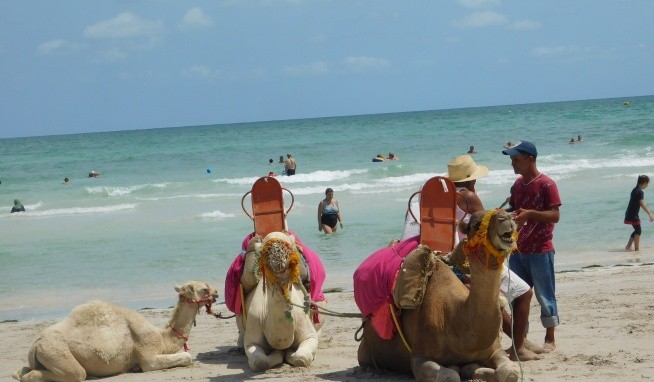 Palais Des Iles recenzie