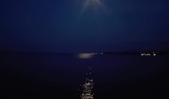 Lebed opinie