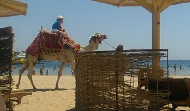 Xanadu Club Makadi Bay recenzie