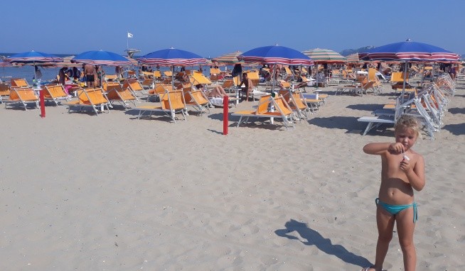 International (Cattolica) opinie