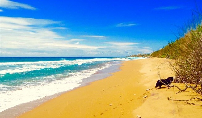 Studia Bruskos recenze